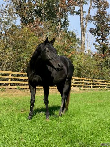 $2,000,000 | 14247 Blackwater Road, Central, LA 70714