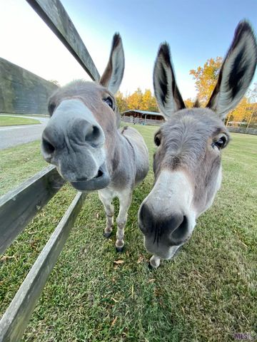 $2,000,000 | 14247 Blackwater Road, Central, LA 70714