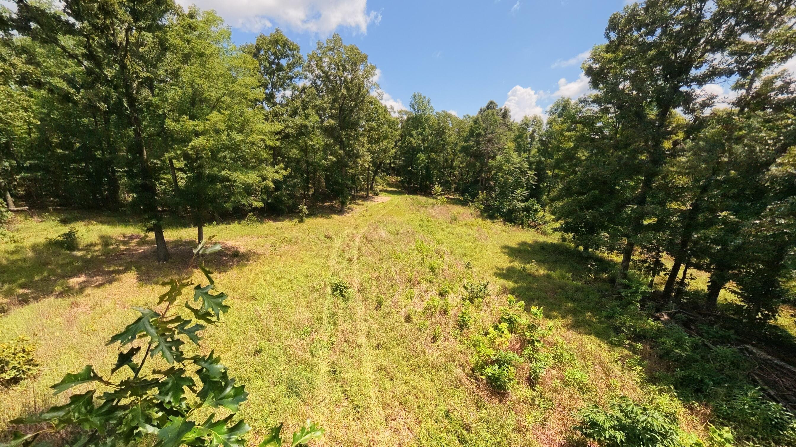 10824 Upper Janes Creek Road Ravenden, AR 72459 - Photo 62 of 79 93 acre hunting property061