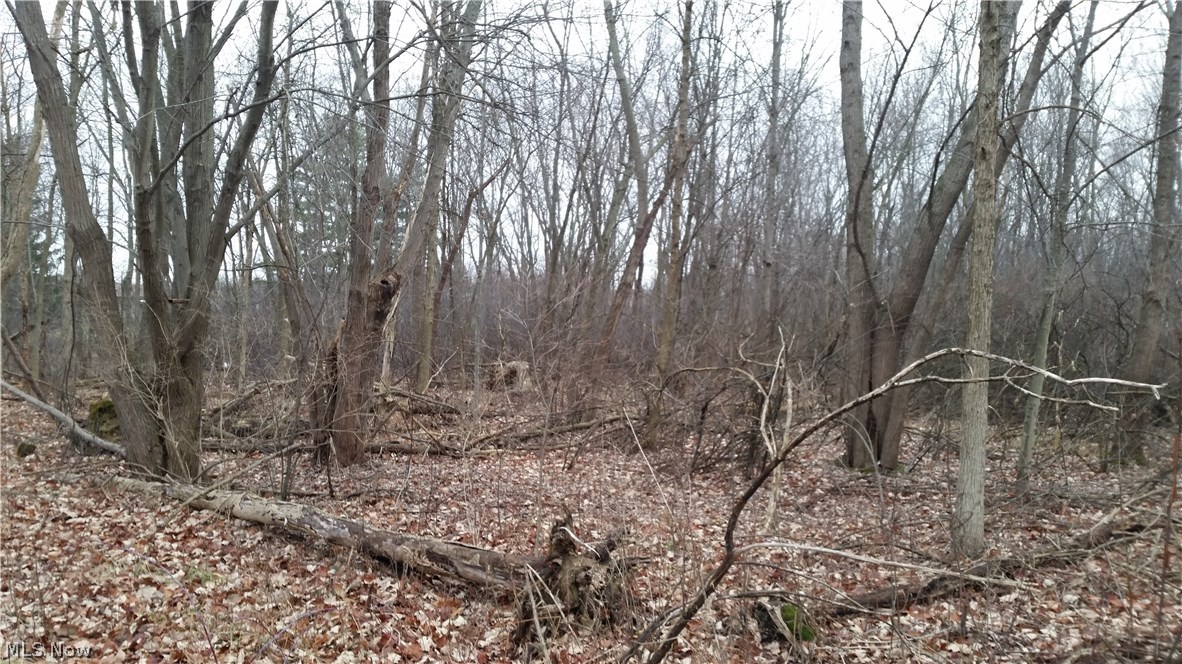 39.245-acres Remsen Road Medina, OH 44256 - Photo 3 of 4