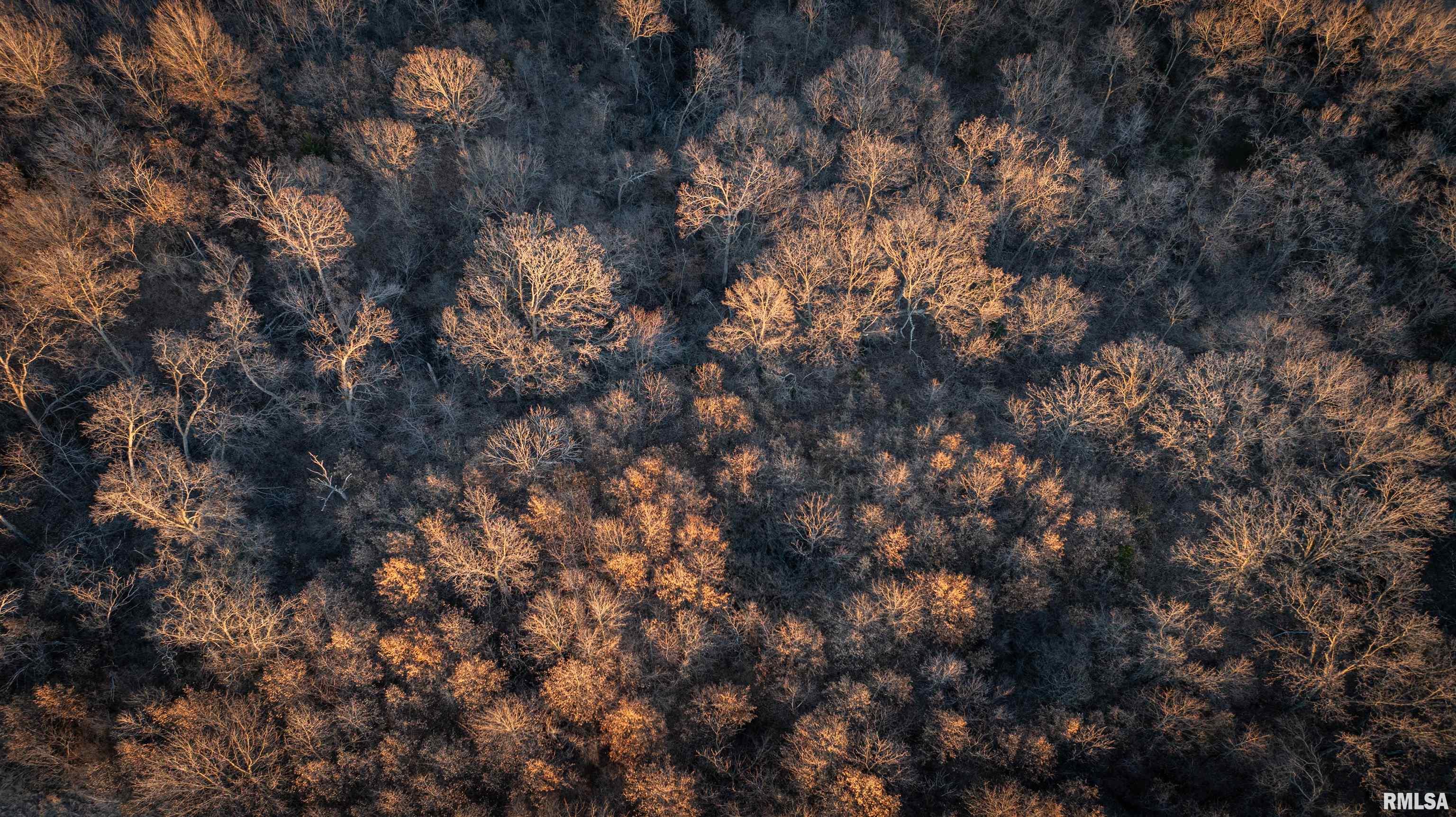 570 Emma Road Colchester, IL 62326 - Photo 26 of 33