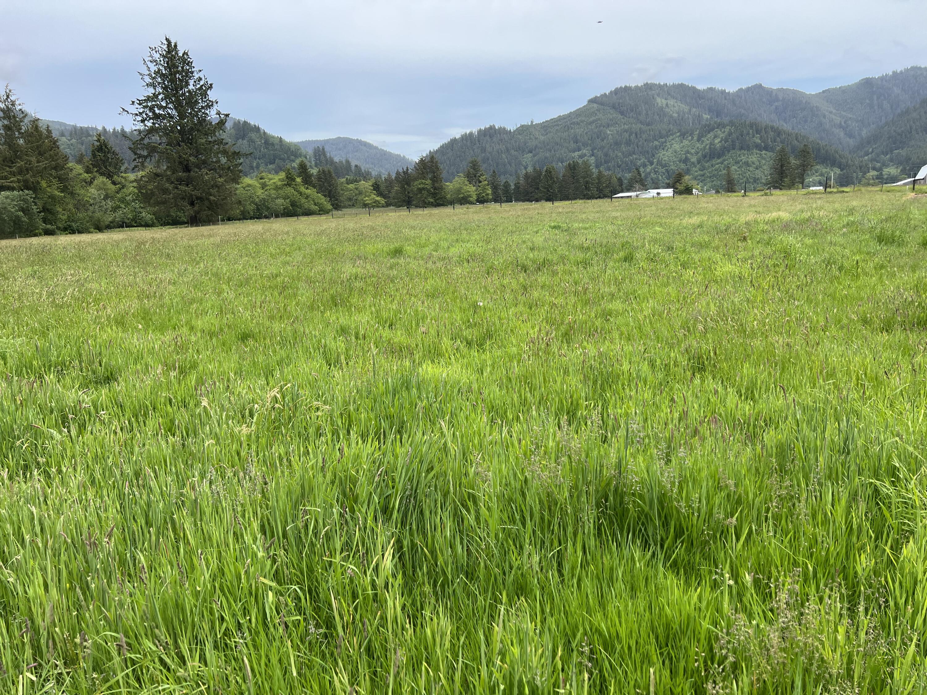 2902 Alderbrook Road Tillamook, OR 97141 - Photo 11 of 26 IMG_1901