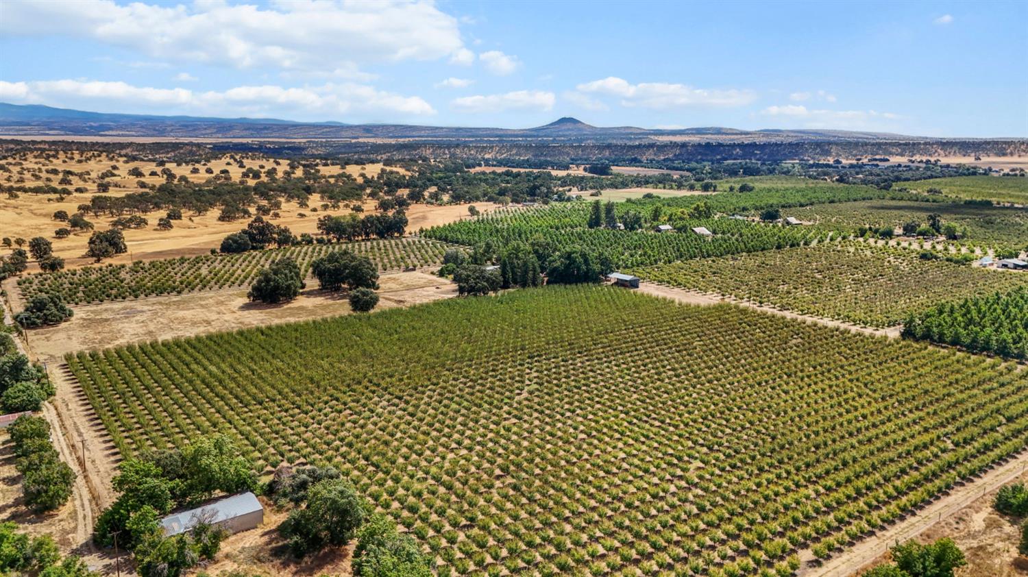 18525 Emerson Road Red Bluff, CA 96080 - Photo 51 of 92