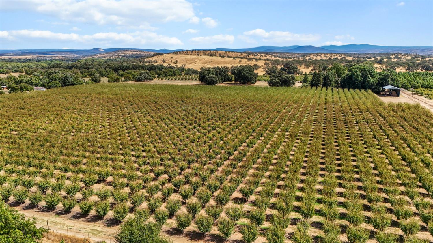 18525 Emerson Road Red Bluff, CA 96080 - Photo 53 of 92 a view of a city