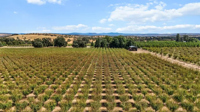 $999,000 | 18525 Emerson Road, Red Bluff, CA 96080