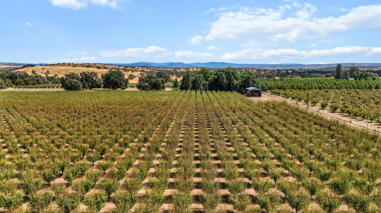 18525 Emerson Road Red Bluff, CA 96080 - Photo 54 of 92