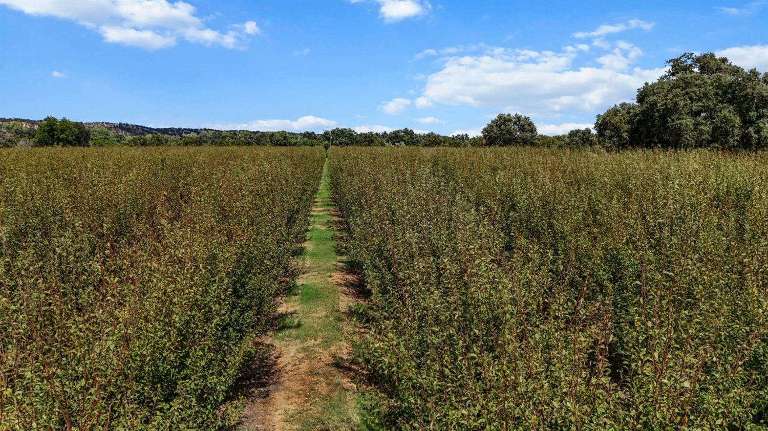 18525 Emerson Road Red Bluff, CA 96080 - Photo 58 of 92 a view of an ocean and sunset
