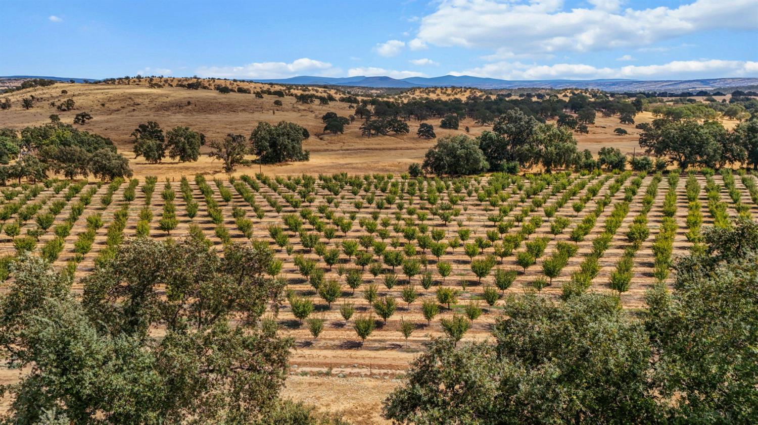 18525 Emerson Road Red Bluff, CA 96080 - Photo 60 of 92 a view of city and ocean