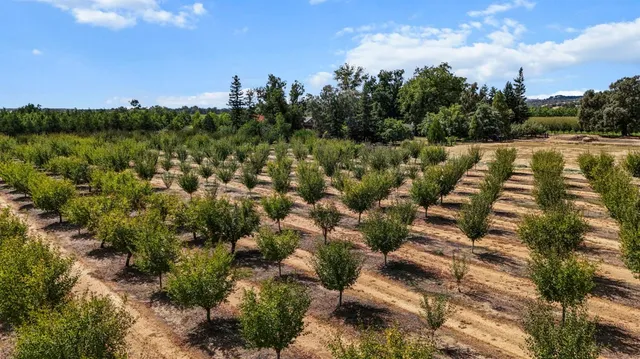 $999,000 | 18525 Emerson Road, Red Bluff, CA 96080