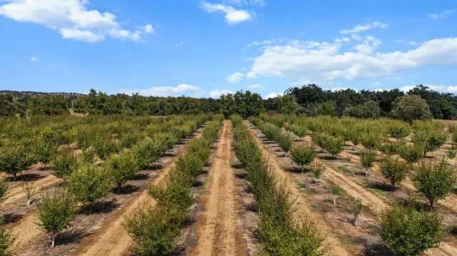 $999,000 | 18525 Emerson Road, Red Bluff, CA 96080