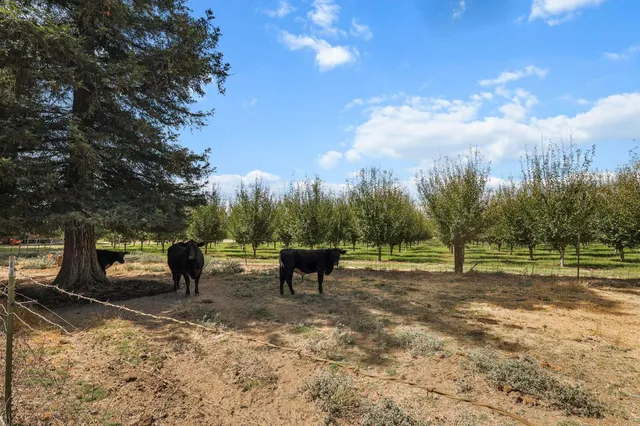 $999,000 | 18525 Emerson Road, Red Bluff, CA 96080