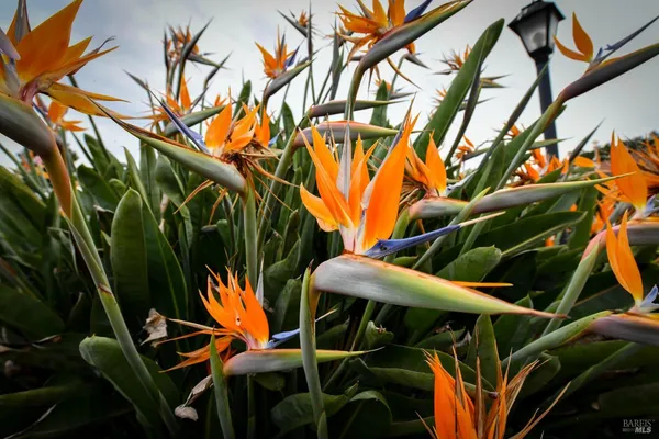 $425,000 | 145 Westgate Circle, Santa Rosa, CA 95401