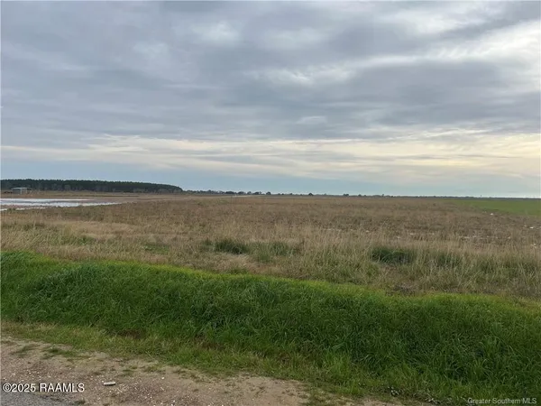 $79,000 | Tbd Blanchard Road, Welsh, LA 70591