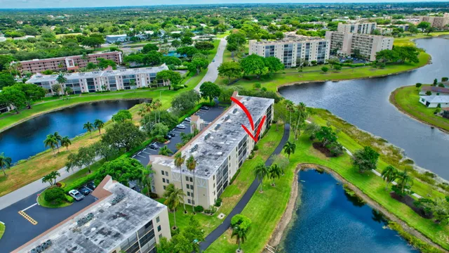 a view of a garden with a palm tree