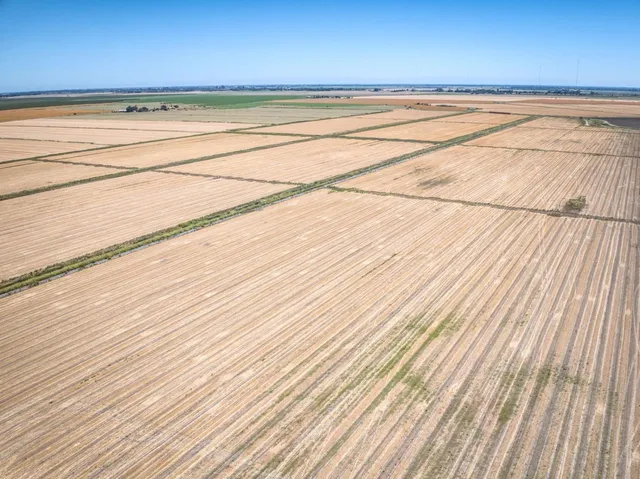 $1,732,320 | 9701 Highway 220, Walnut Grove, CA 95690