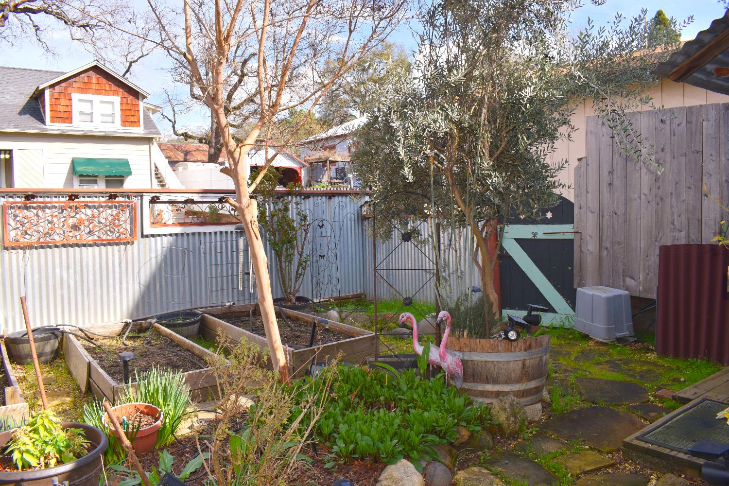 126 Center Street Jackson, CA 95642 - Photo 78 of 95 Lower level garden area facing East Ln