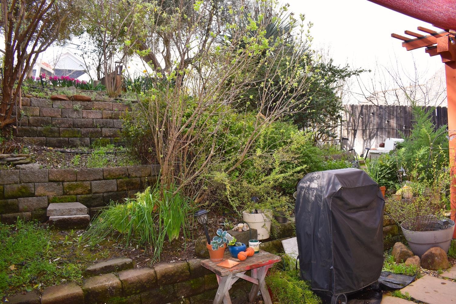 126 Center Street Jackson, CA 95642 - Photo 82 of 95 Terraced garden from courtyard facing Center St
