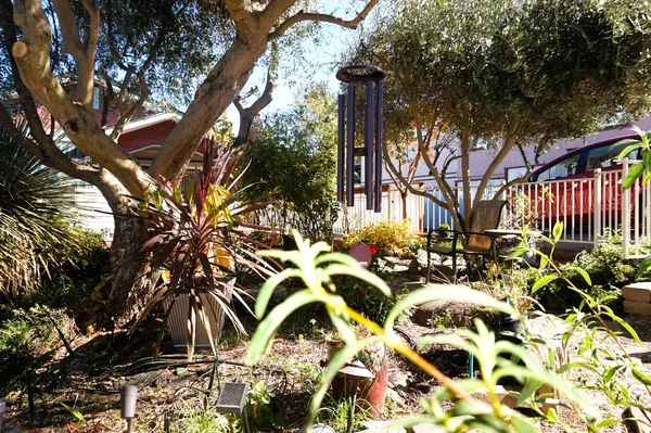 $509,000 | 126 Center Street, Jackson, CA 95642