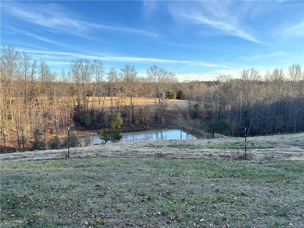 239 Beach Road Elkin, NC 28621 - Photo 21 of 23 View of Property