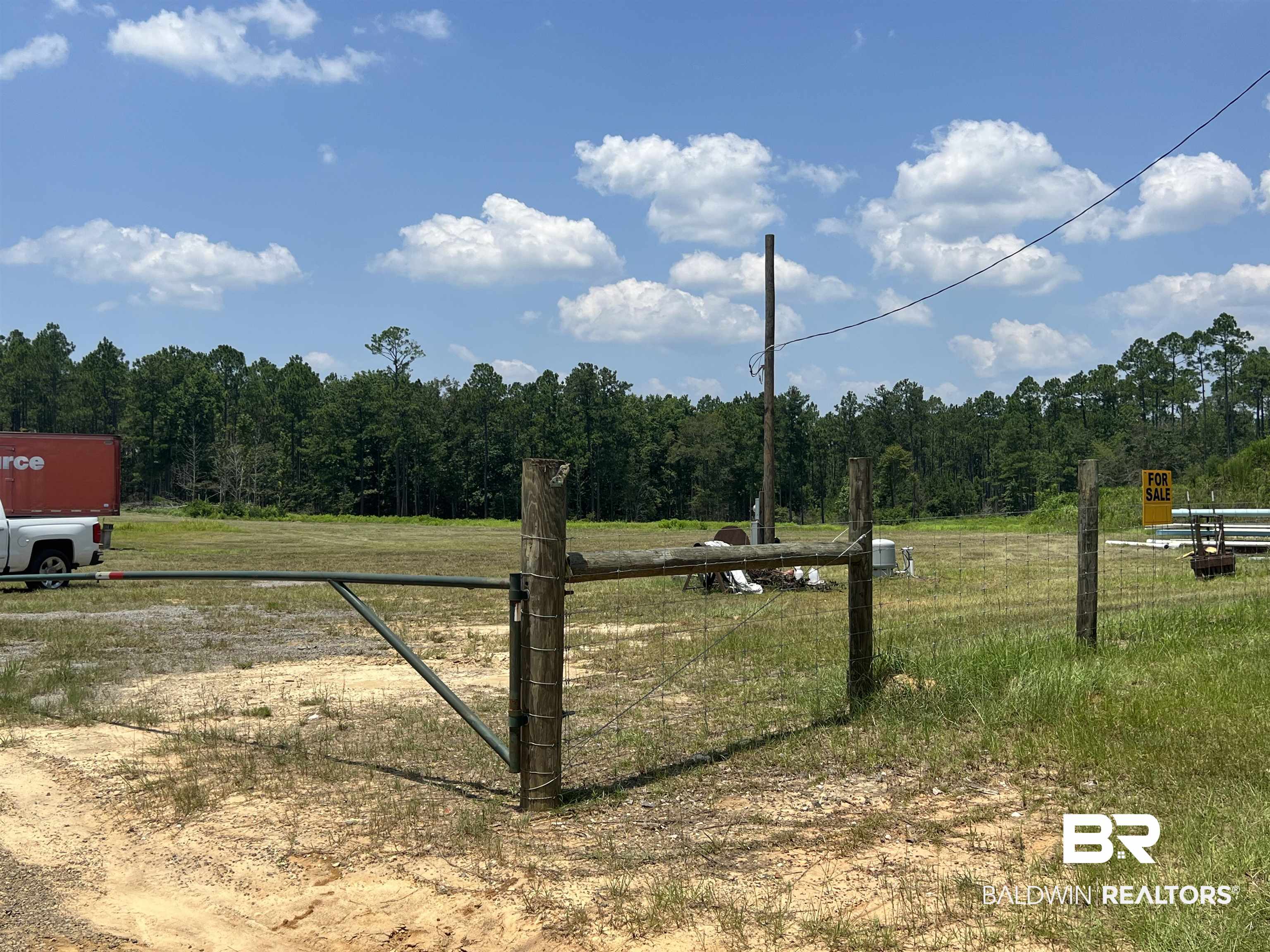 0 Beverly Jefferies Highway Citronelle, AL 36522 - Photo 13 of 19