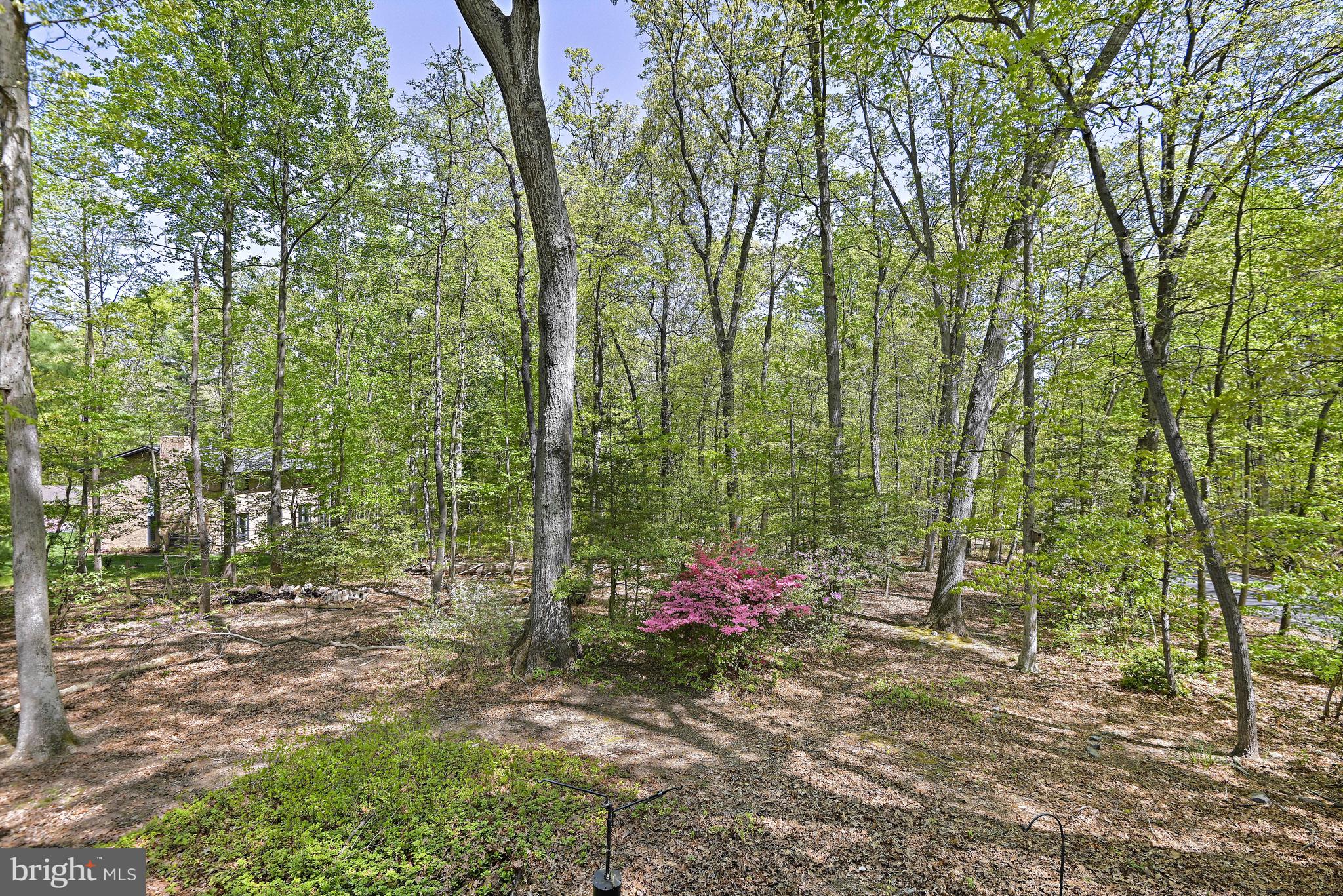 12008 Whip Road Reston, VA 20191 - Photo 27 of 48 Views of the back yard from the balcony.