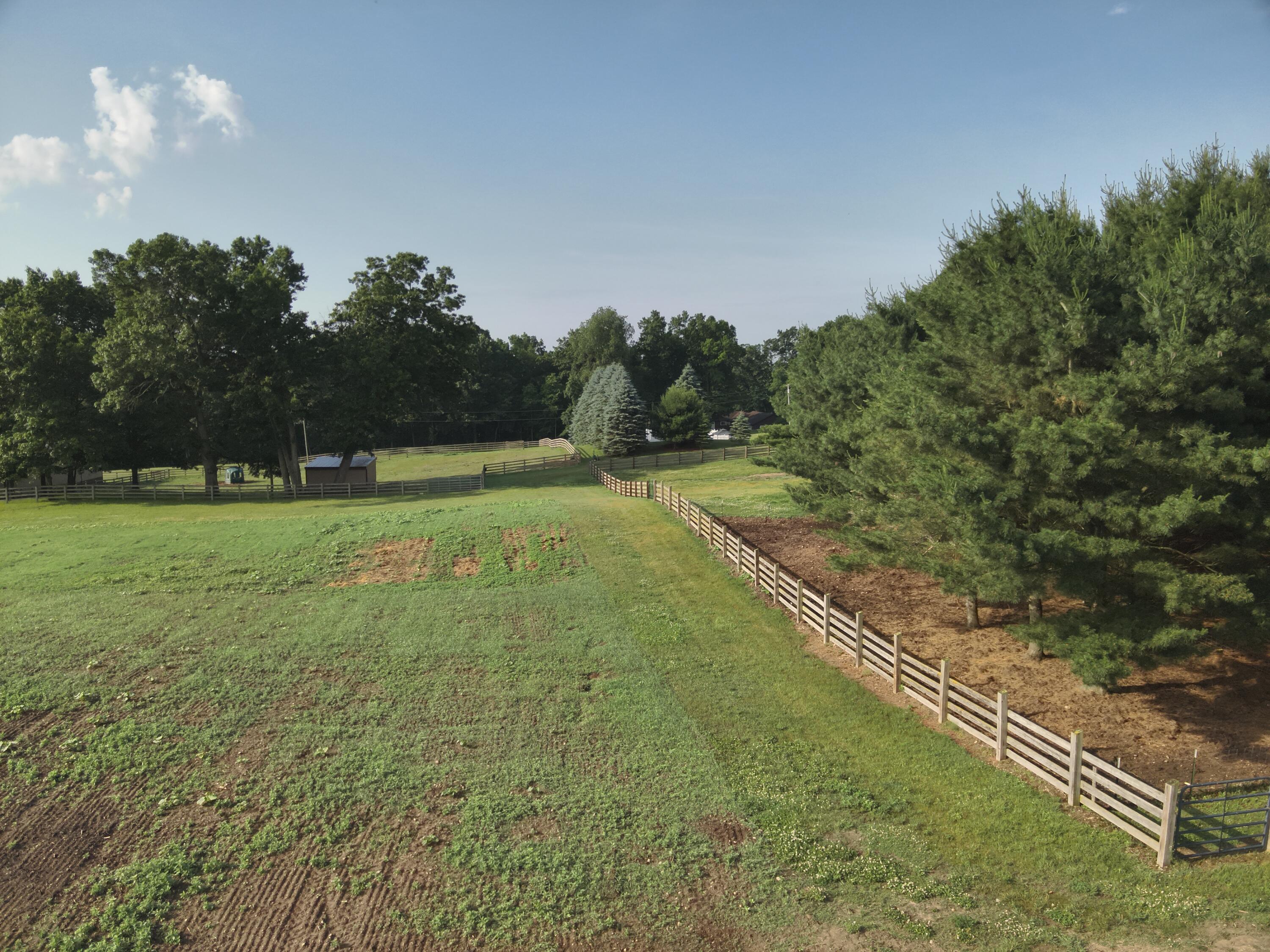 13955 Rattalee Lake Road Davisburg, MI 48350 - Photo 11 of 95 Hayfield & Small Animal Pasture
