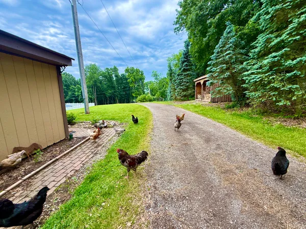 $975,000 | 13955 Rattalee Lake Road, Davisburg, MI 48350