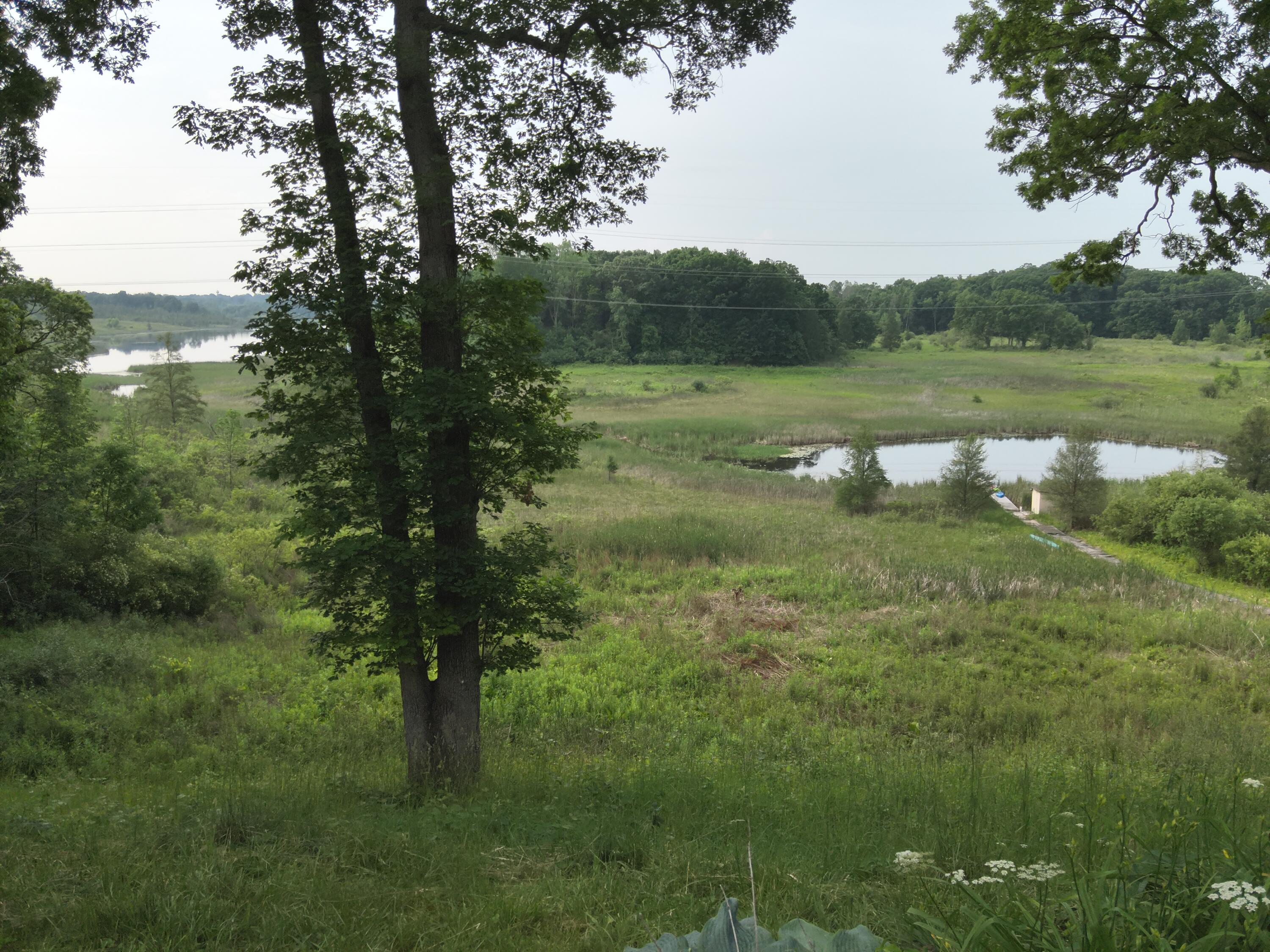 13955 Rattalee Lake Road Davisburg, MI 48350 - Photo 10 of 95 Backyard View
