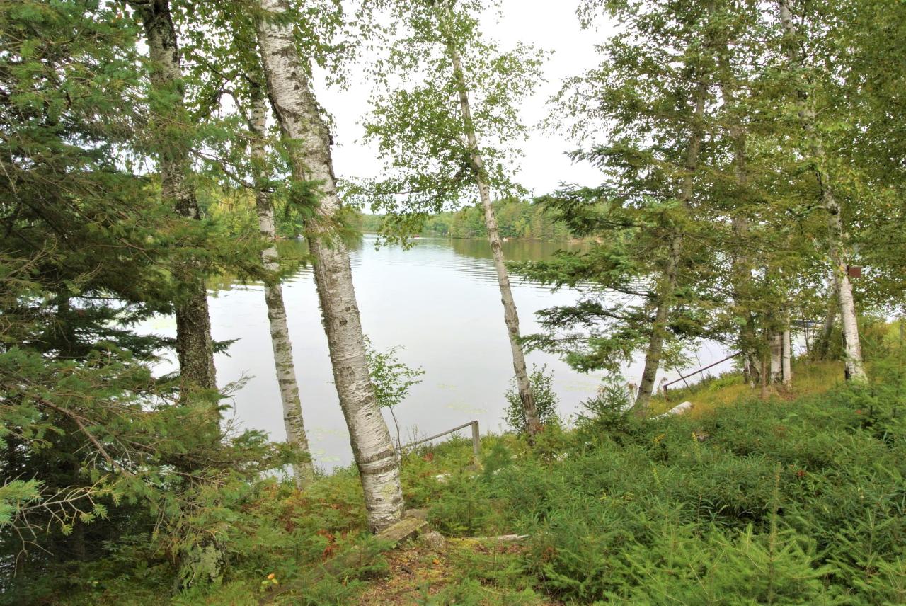 Lot 3 Dombrowski Road Harshaw, WI 54529 - Photo 2 of 13 Gallery Image 2