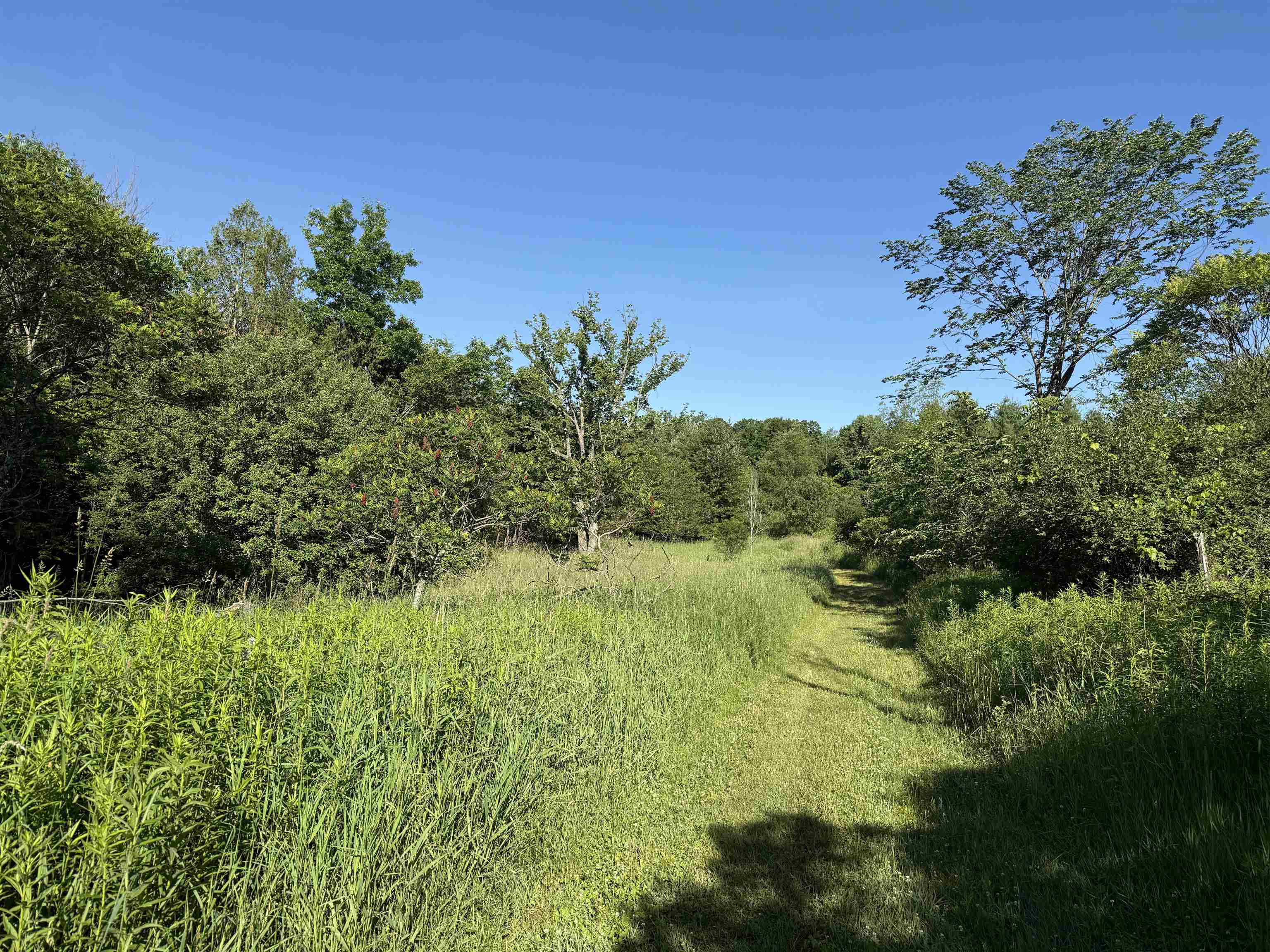 N6559 River Road Wittenberg, WI 54499 - Photo 13 of 18