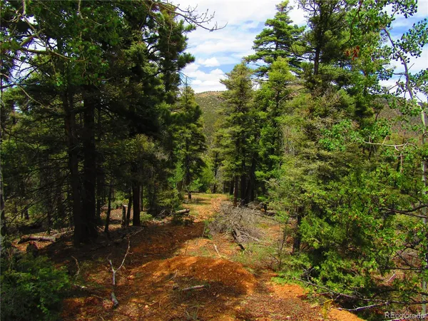 $25,000 | Lot 6028 Spruce Roads, San Luis, CO 81152
