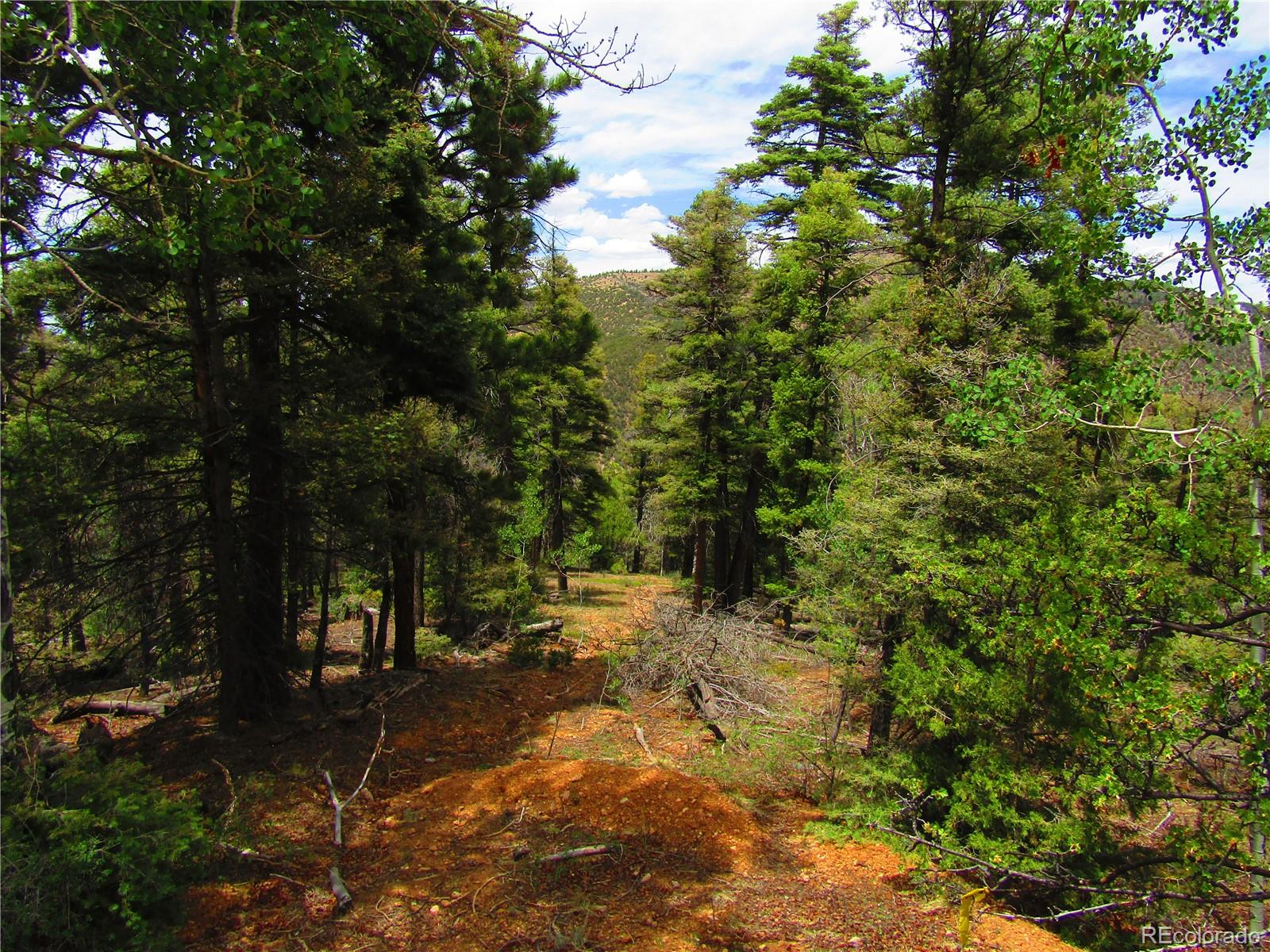Lot 6028 Spruce Roads San Luis, CO 81152 - Photo 13 of 13