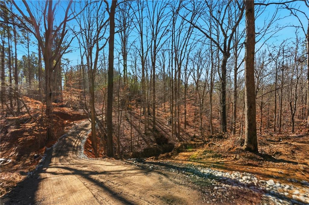 5.419 Acres On Pete Path Dallas, GA 30157 - Photo 5 of 15