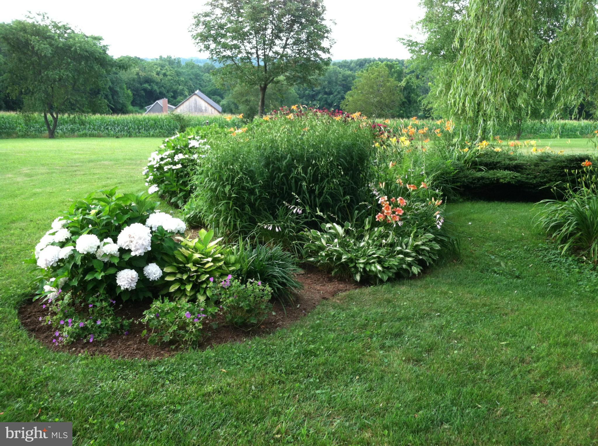 17709 Backbone Road Parkton, MD 21120 - Photo 26 of 30 Garden
