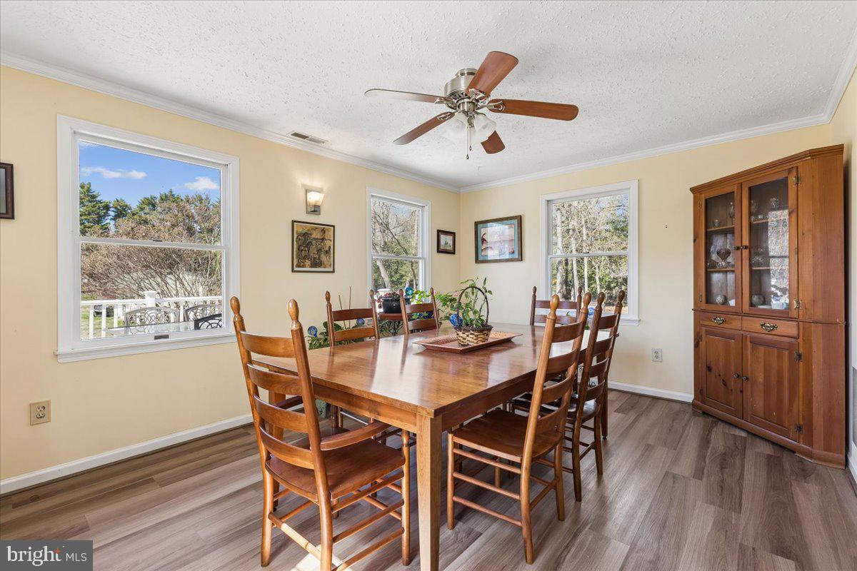 15204 Jarrell Road Goldsboro, MD 21636 - Photo 16 of 46 Gallery Image 16