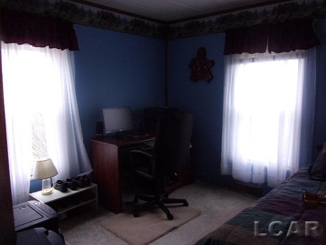 16660 Forrister Road Hudson, MI 49247 - Photo 21 of 29 31374209-20.JPG