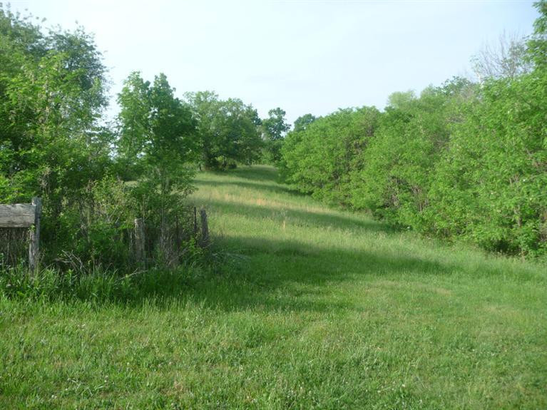 1107 Crask Road Lawrenceburg, KY 40342 - Photo 4 of 5 Photo 4