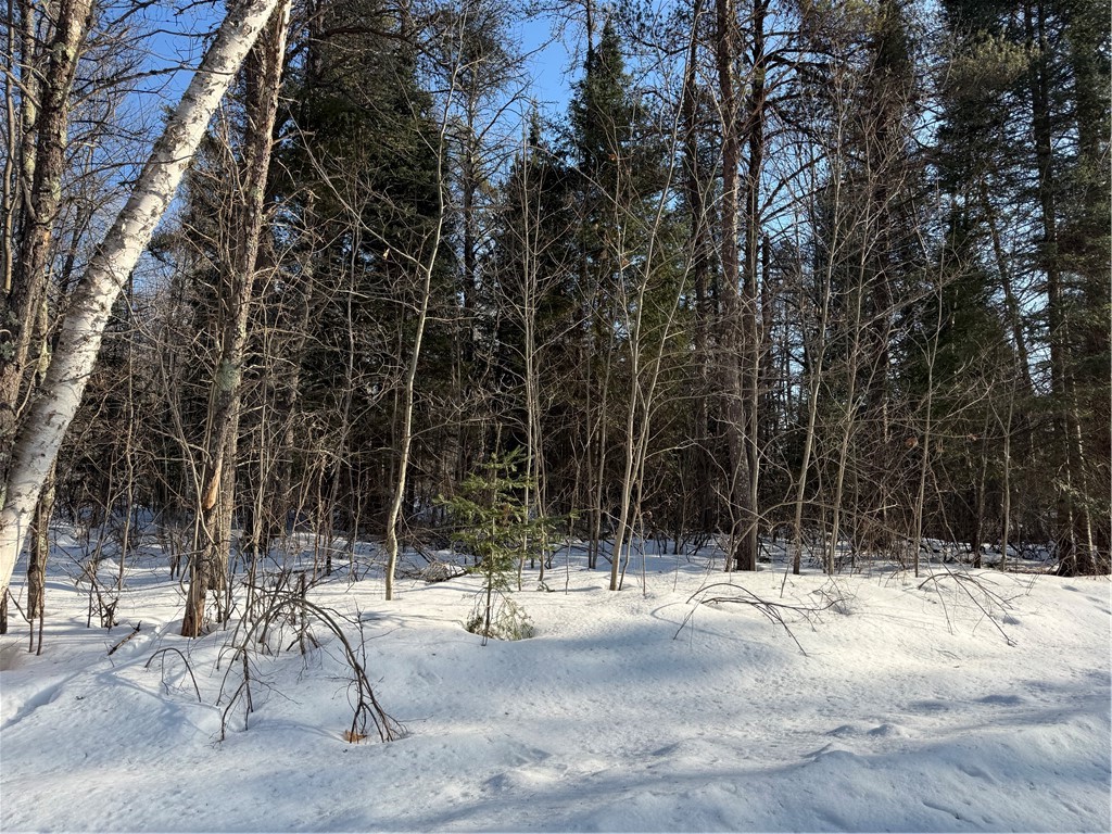 Lot 66 Hickory Court Cable, WI 54821 - Photo 1 of 1