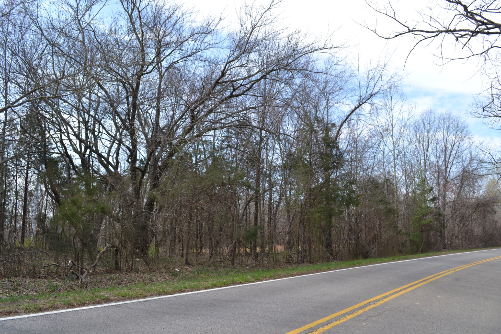 2 Southside Road Cunningham, TN 37052 - Photo 3 of 7 a view of a yard