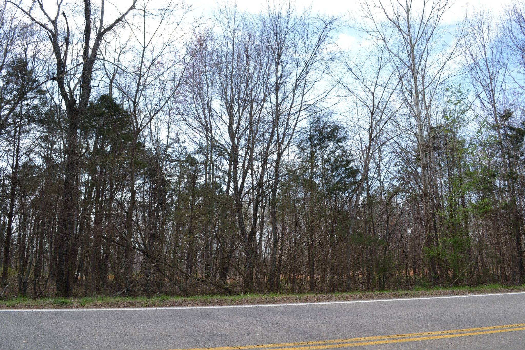 2 Southside Road Cunningham, TN 37052 - Photo 5 of 7 a view of a trees in front of a house
