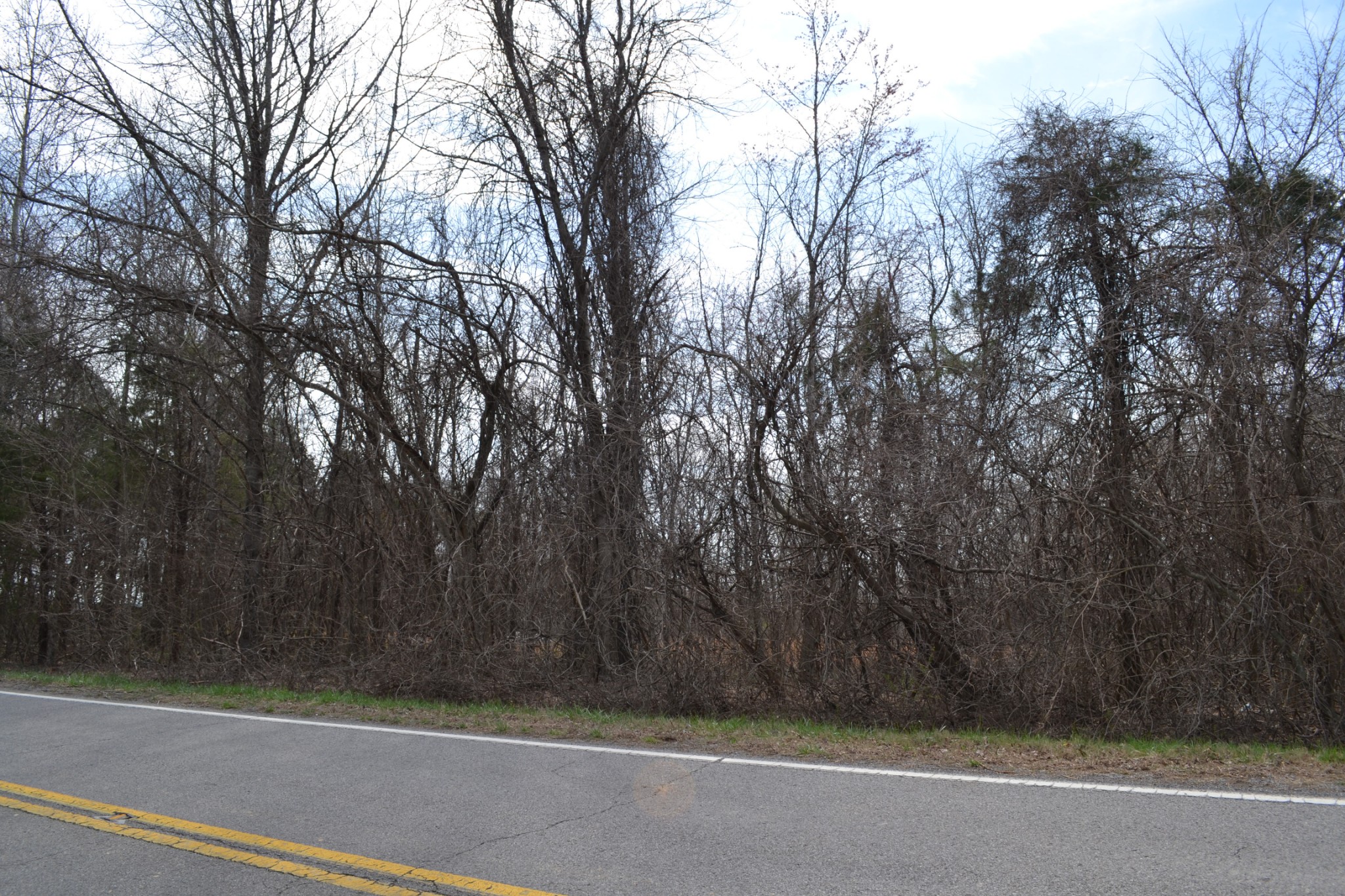 2 Southside Road Cunningham, TN 37052 - Photo 6 of 7 a view of backyard