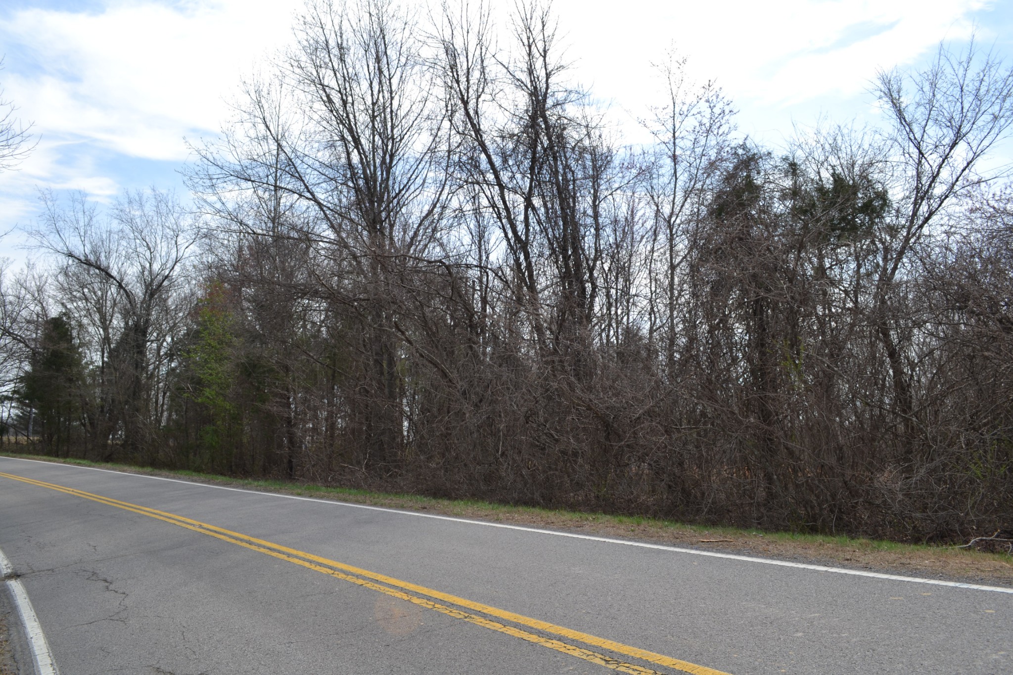 2 Southside Road Cunningham, TN 37052 - Photo 7 of 7 a view of a yard