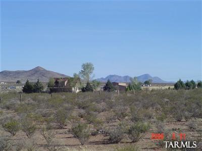 16 Creosote Road Animas, AZ 88020 - Photo 12 of 25