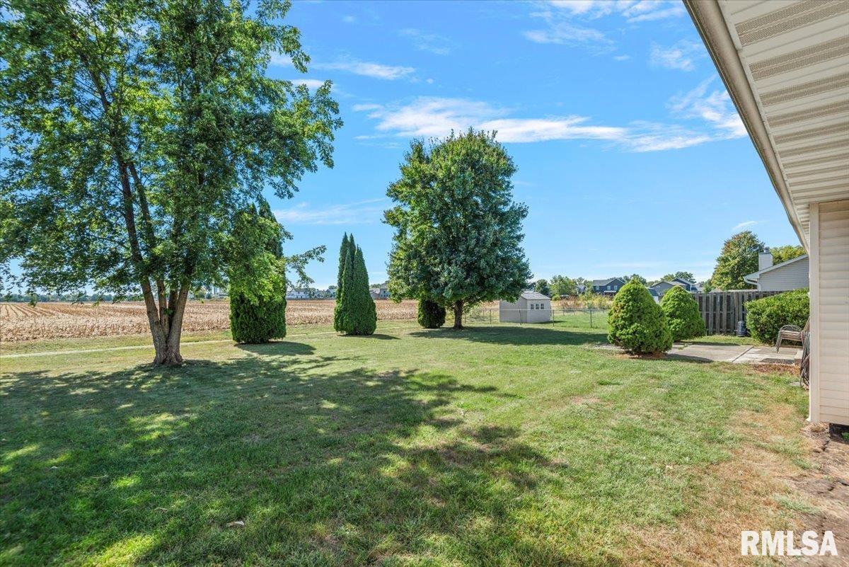 1052 Oakbrook Avenue Chatham, IL 62629 - Photo 29 of 30