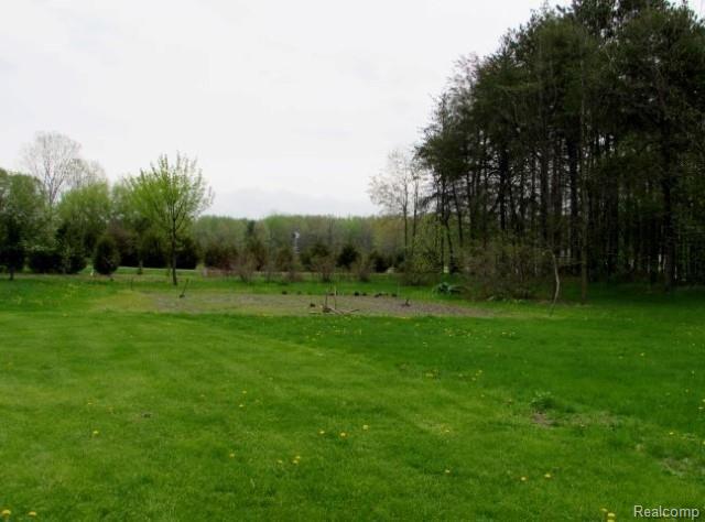 19995 West Burt Road Brant, MI 48614 - Photo 11 of 12 1.2 Acres