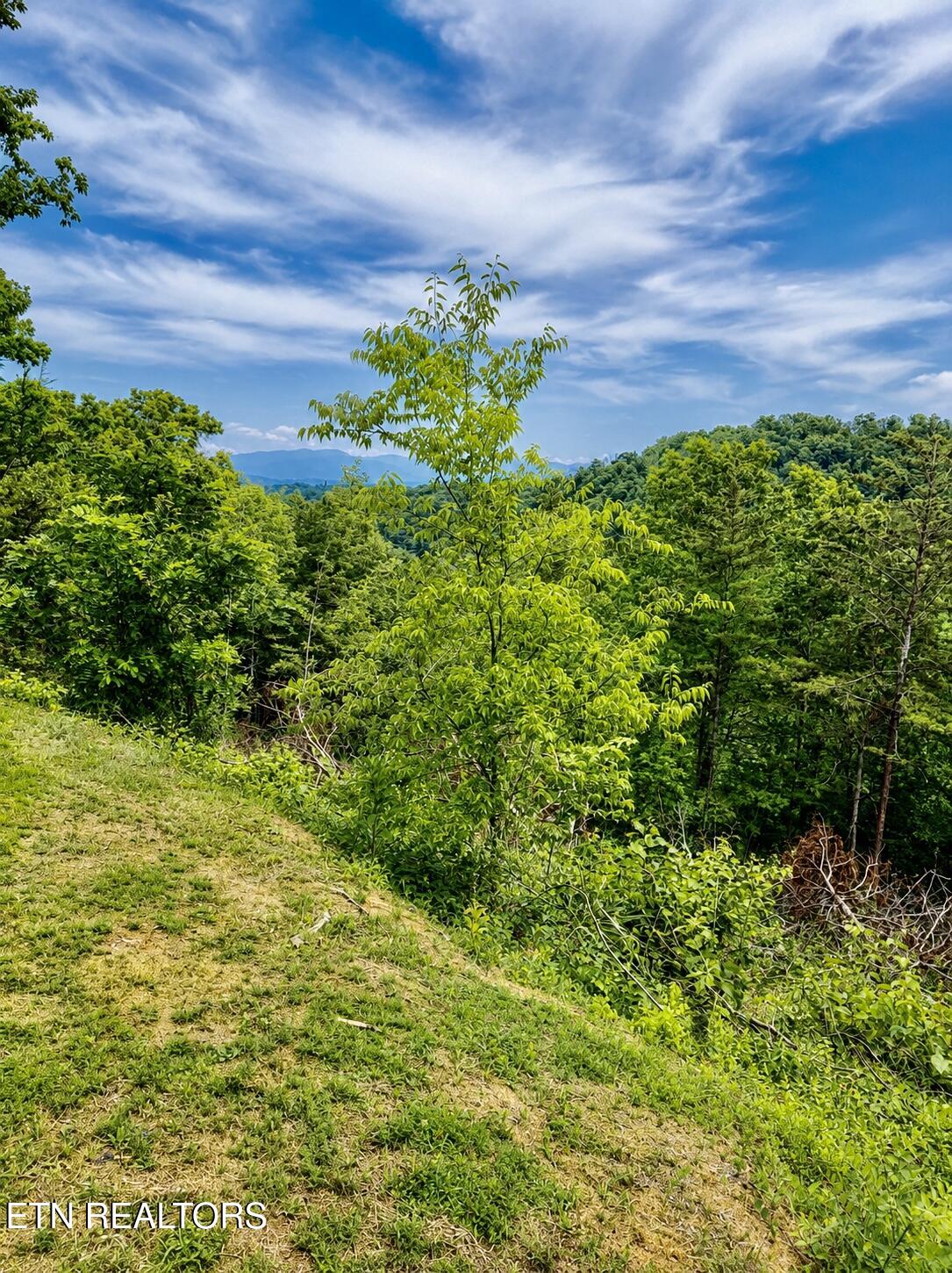 1798 Seagle Hollow Road Sevierville, TN 37876 - Photo 15 of 25 1-15