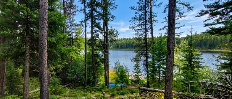 2424 Pierce Lake Road Condon, MT 59826 - Photo 6 of 15 Gallery Image 6