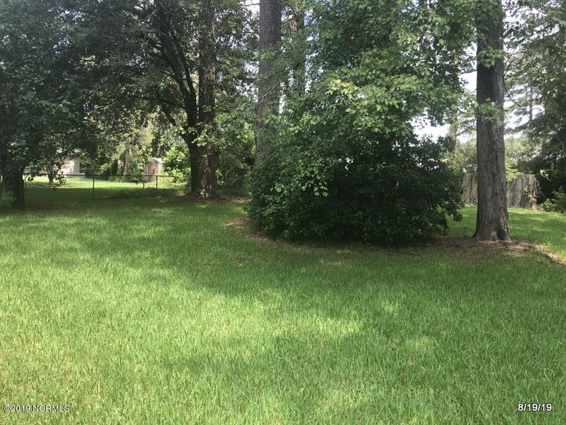 308 Luann Road Jacksonville, NC 28540 - Photo 2 of 22 BACKYARD