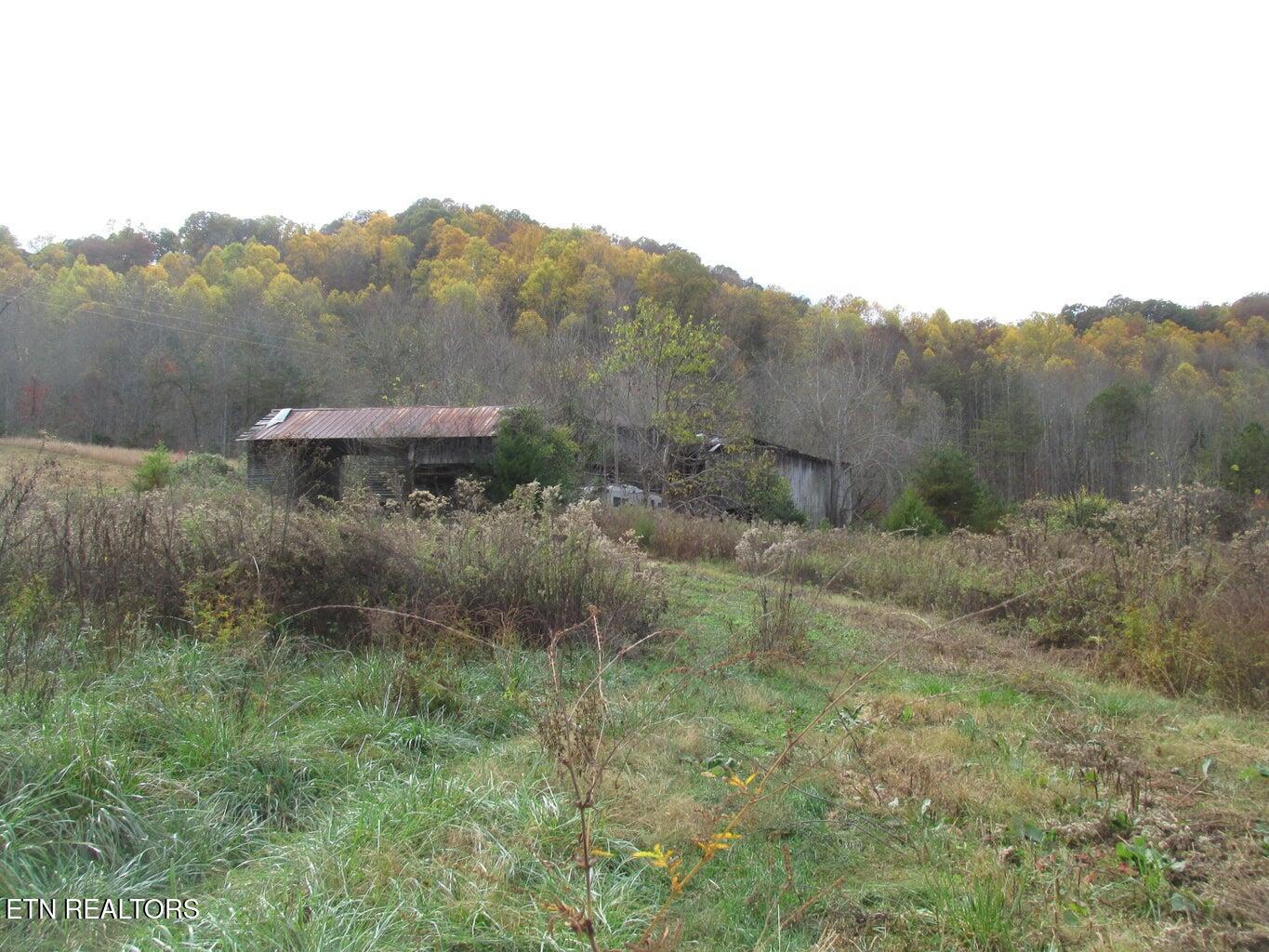 5194 Jones Cove Road Cosby, TN 37722 - Photo 1 of 6 JONES COVE