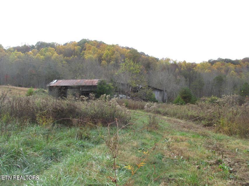 5194 Jones Cove Road Cosby, TN 37722 - Photo 3 of 6 Jones cove 8